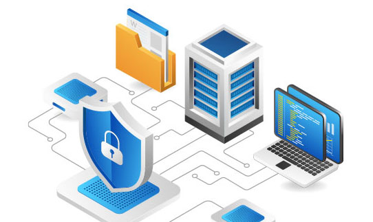 네트워크 컨설팅